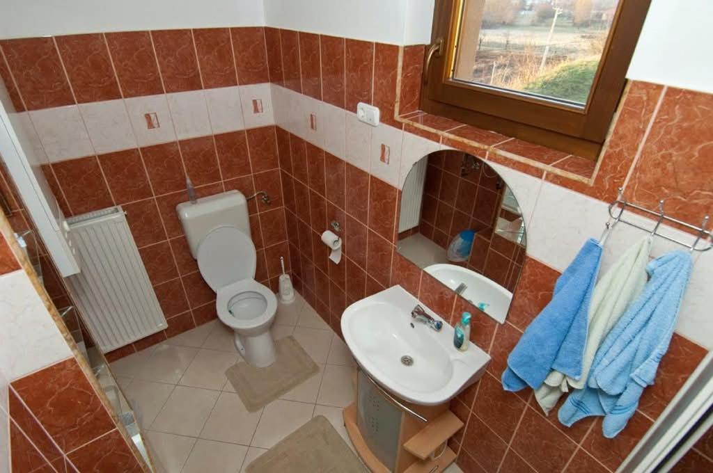 Sas-Feszek Vendeghaz Apartment Demjen Exterior photo