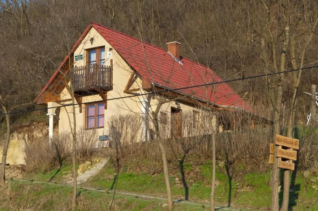Sas-Feszek Vendeghaz Apartment Demjen Exterior photo